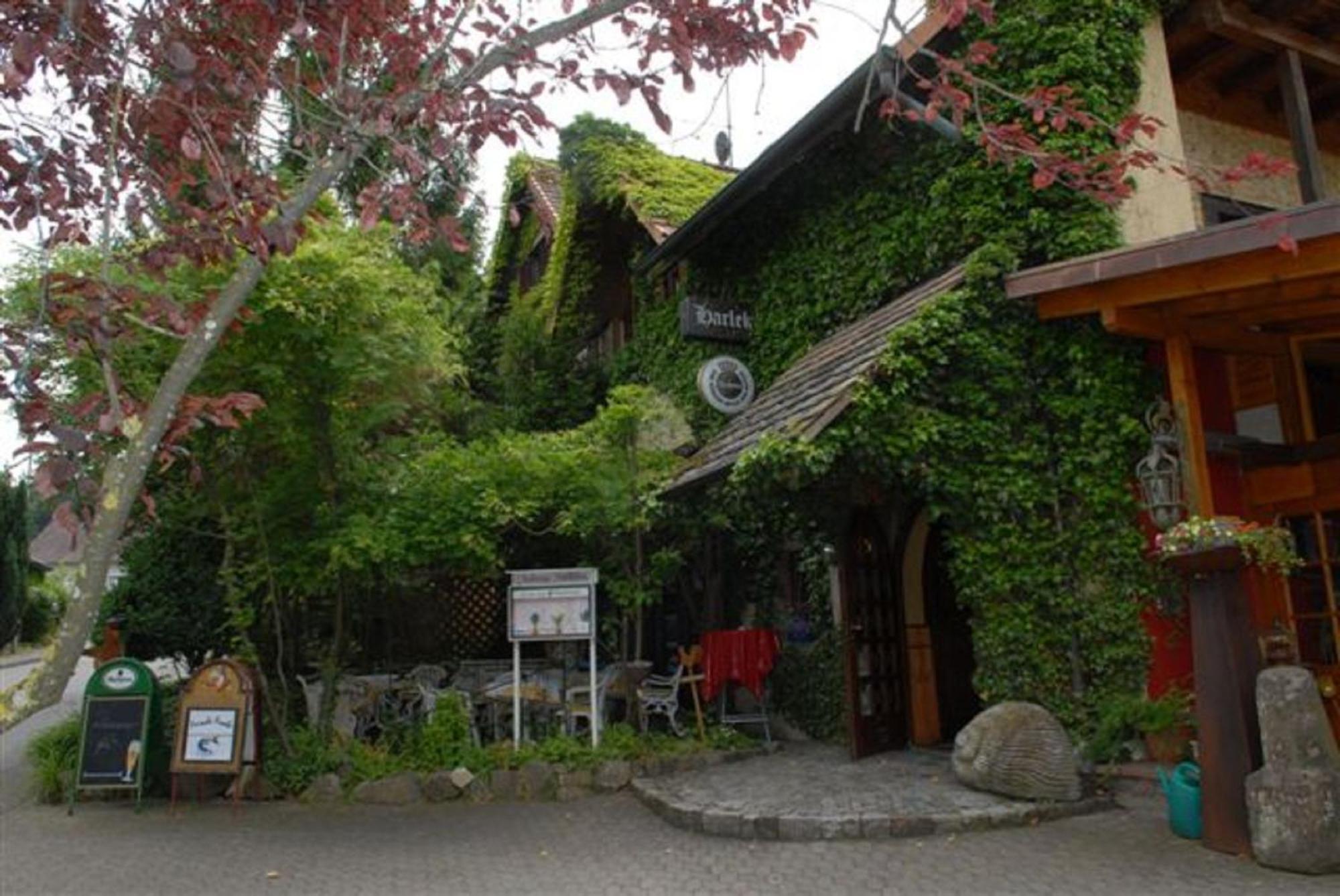 Alte Schreinerei-Auberge Harlekin Randegg Exterior foto